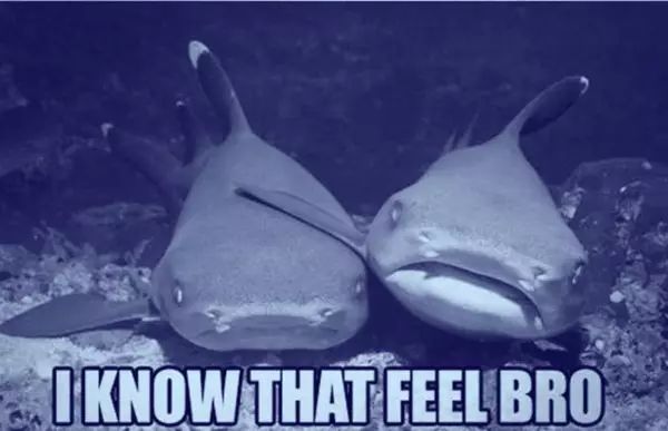 鞋子也可以用神仙水防晒霜,还可以做“脚膜”?