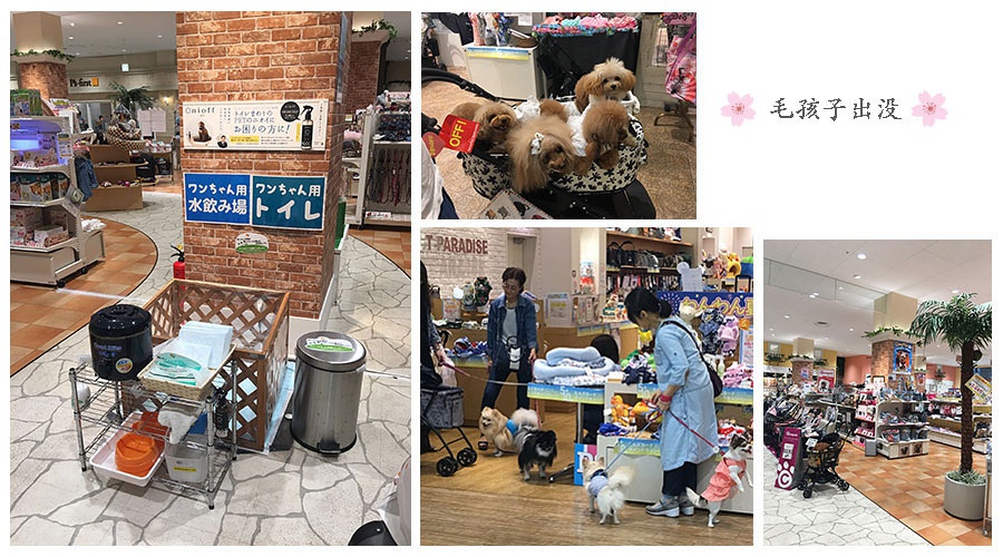 豆瓣日记太虚幻境,豆瓣日记冥想