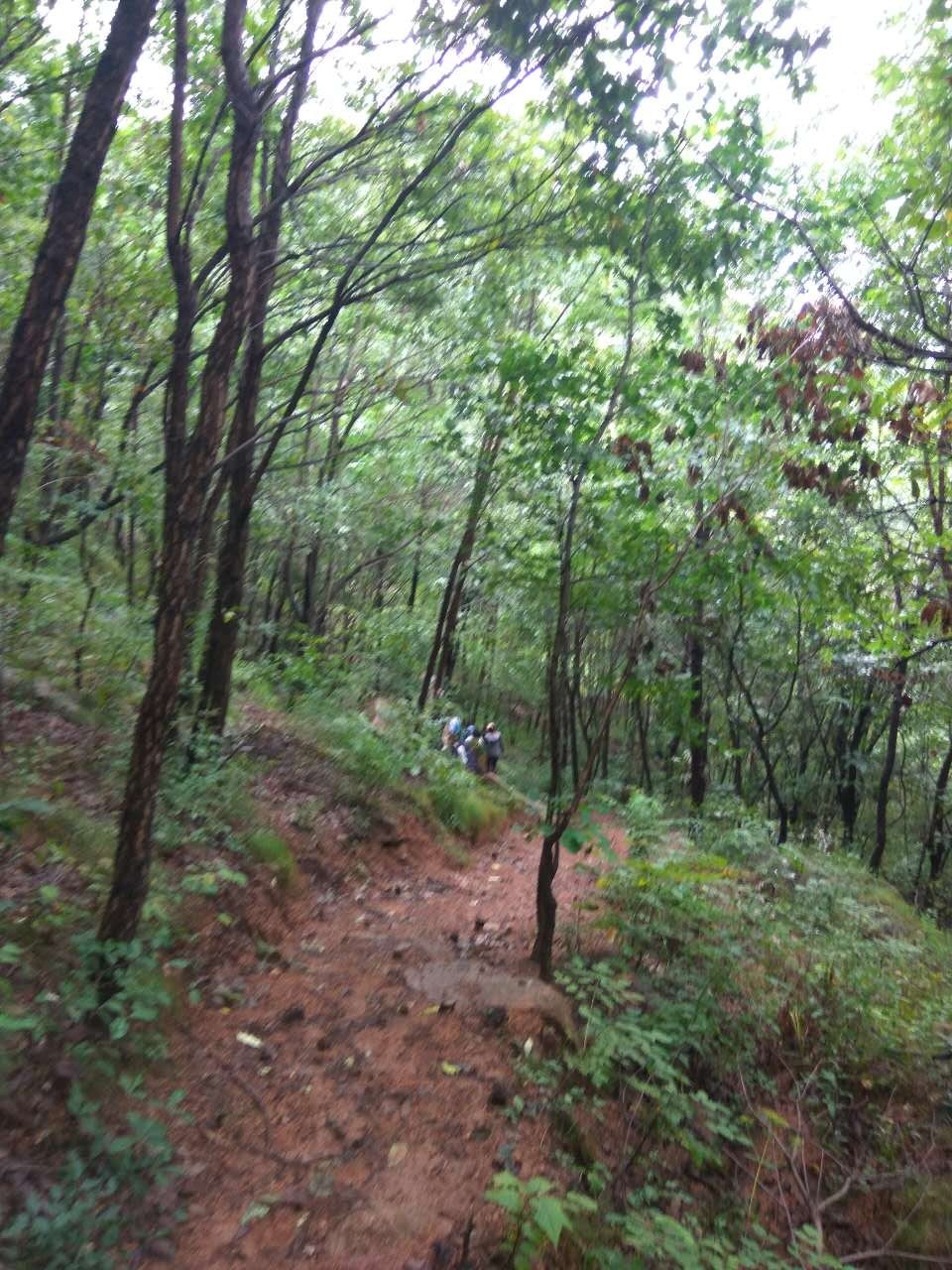 焦作特种兵一日游景区,焦作炮兵旅旅游攻略