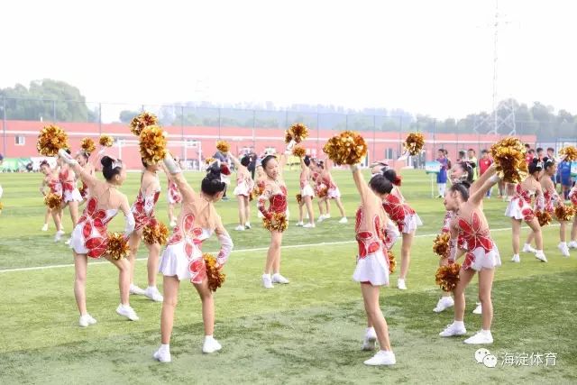 海淀区小学足球联赛2024,2017年海淀区校园足球学区联赛