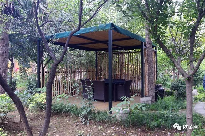 西安最好的陕菜在哪里,西安陕菜探店