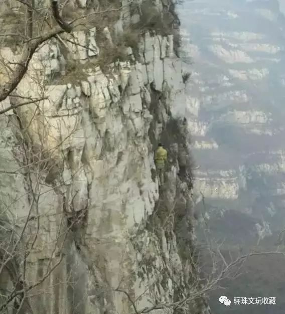 崖柏在文玩里的档次,真正的崖柏文玩