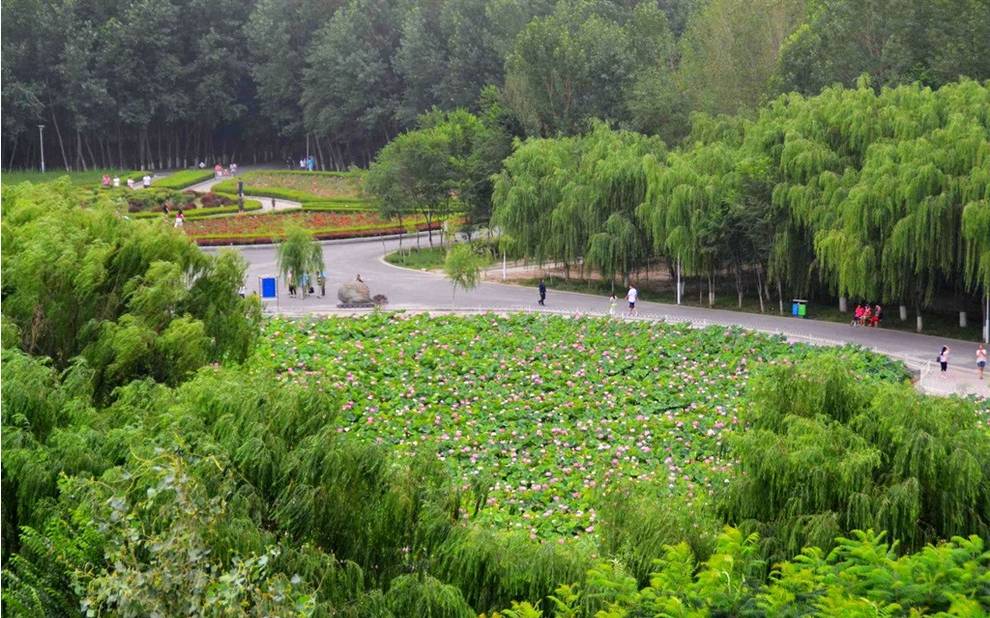 石河子秋季旅游攻略,石河子十一假期旅游推荐