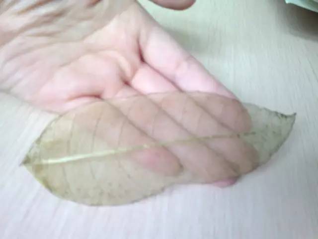 春夏秋冬自制的书签,秋天书签diy