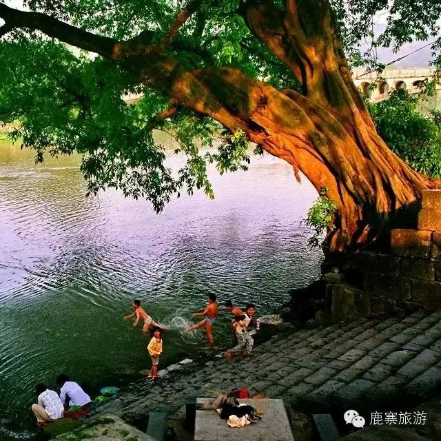 广西的地质奇观,广西喀斯特山里的奇观