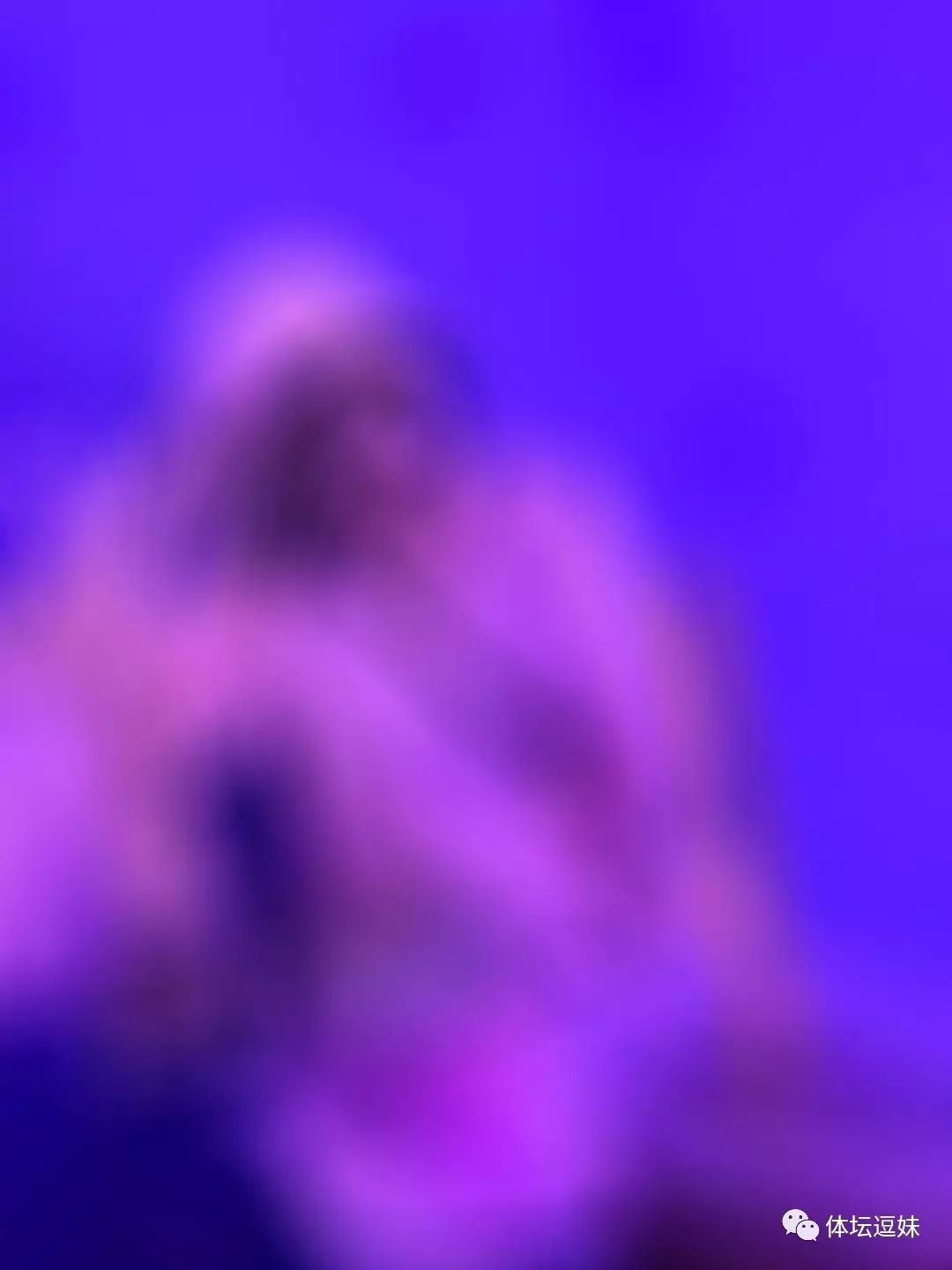 相拥而笑！不停赛不队长之笨马去哪了？