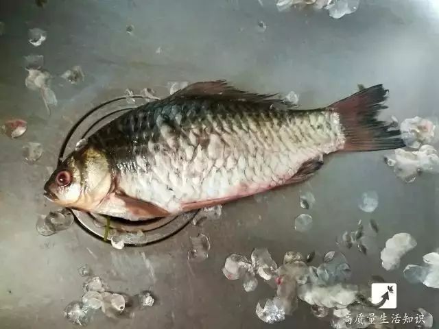 用刀可以刮去鱼鳞吗,用起来太方便刮鱼鳞几秒轻松搞定