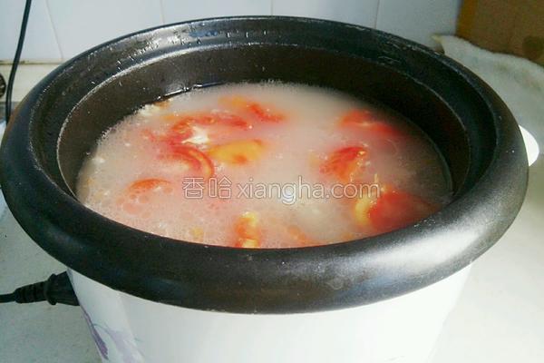 番茄炖排骨汤教学视频,番茄炖排骨汤孕妇能吃吗