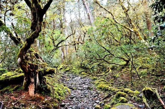 国庆出行手册在哪里,国庆节出行手册