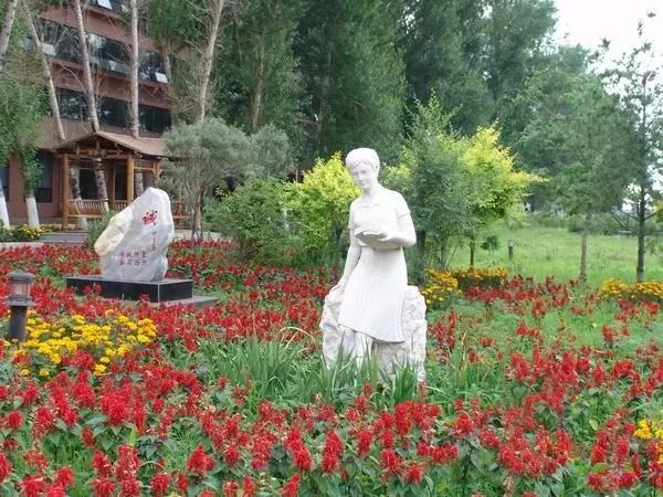 黑龙江新增试点大学,黑龙江省教育厅公示大学名单