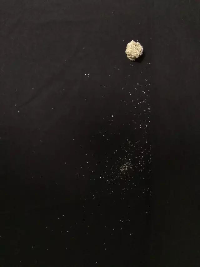 便宜好用膨润土,松木很不好吗