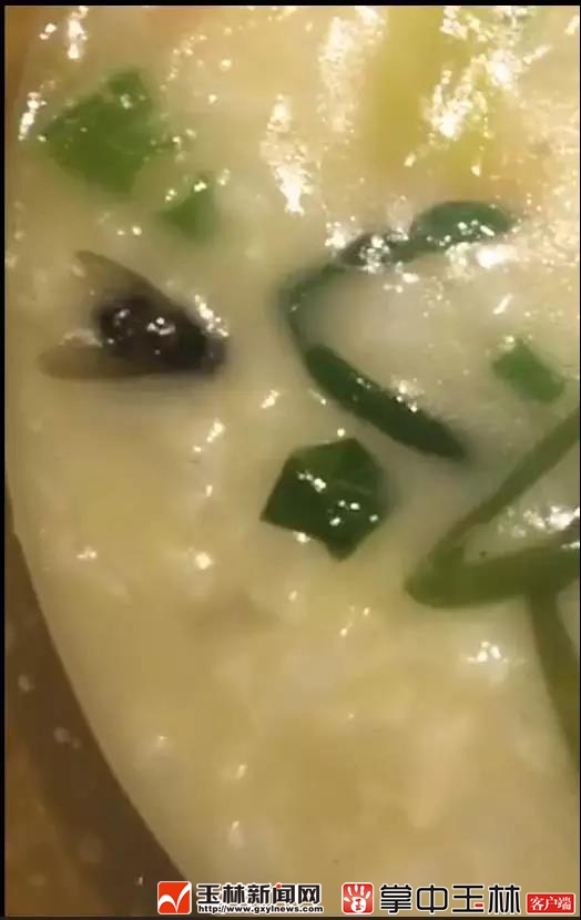 粥里的蛆虫,粥里面有蛆还能吃吗