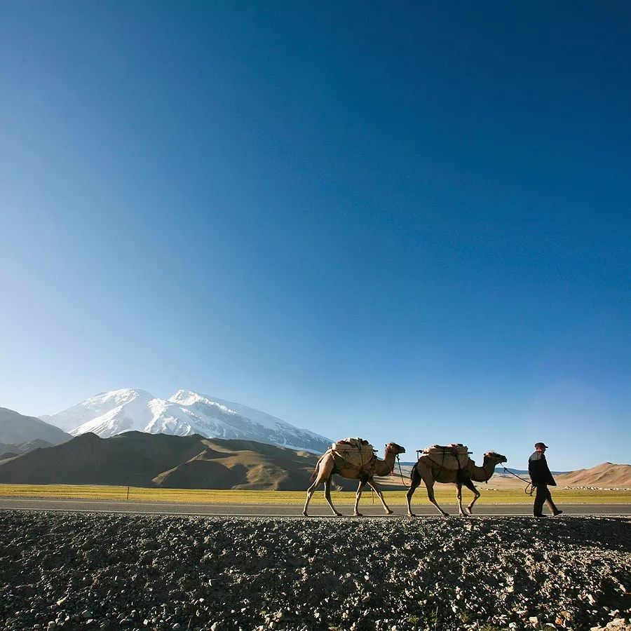 秋分,秋分早霜降迟