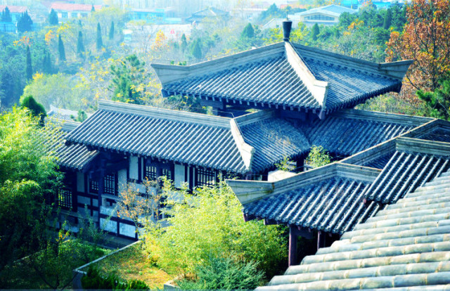 灞变笢鐪侀潚宀涘競鐞呯悐鍙伴鏅尯,鐞呯悐鍙伴鏅尯闈掑矝