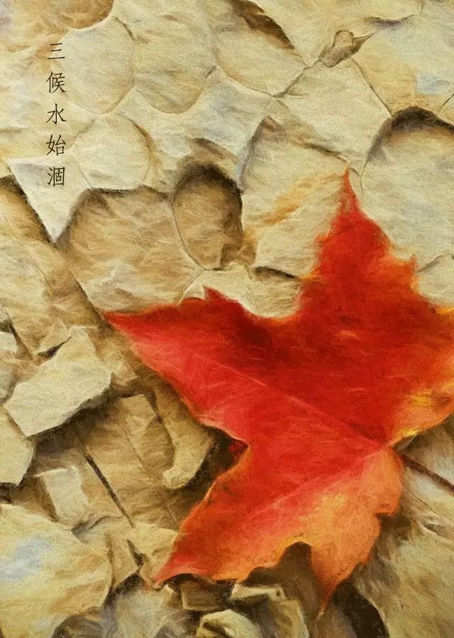 南湖秋分丨别有微凉处,入眼已秋分