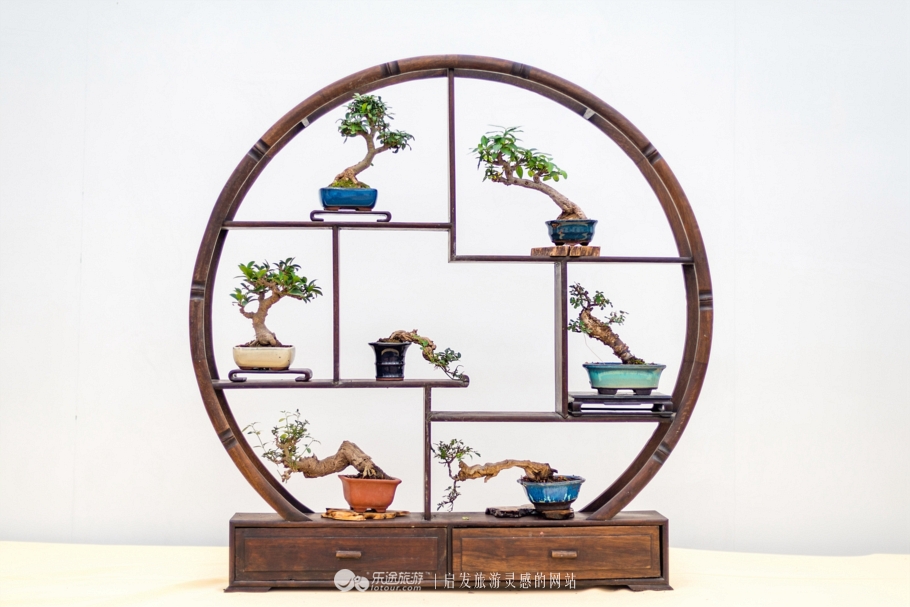 花朦胧雨朦胧鄢陵人17年倾情的花事