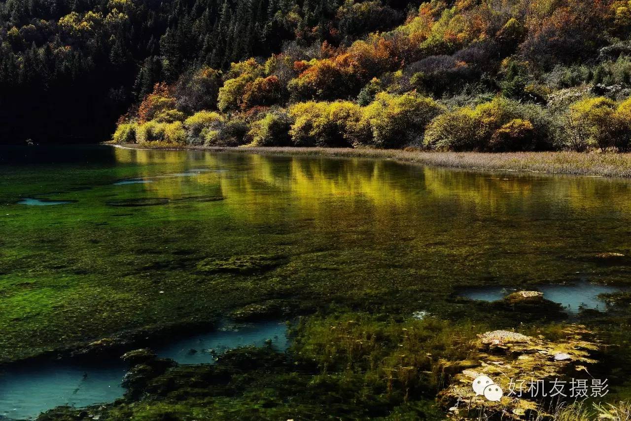 九寨沟黄龙峨眉山乐山自由行攻略,九寨沟旅游攻略及自由行景点介绍
