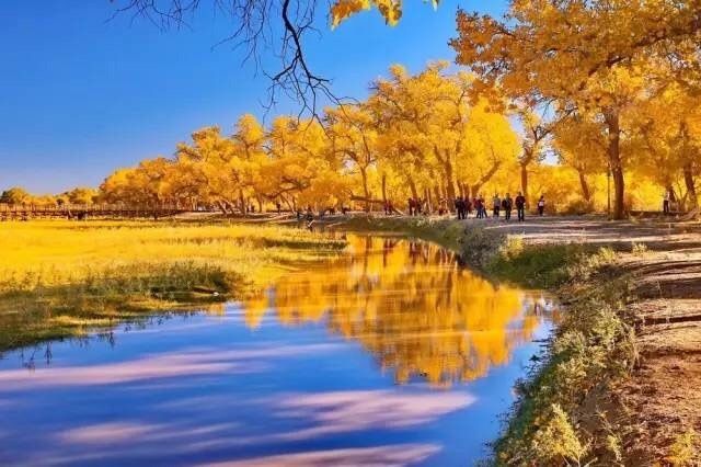 国庆额济纳旗旅游攻略,阿拉善国庆节游玩