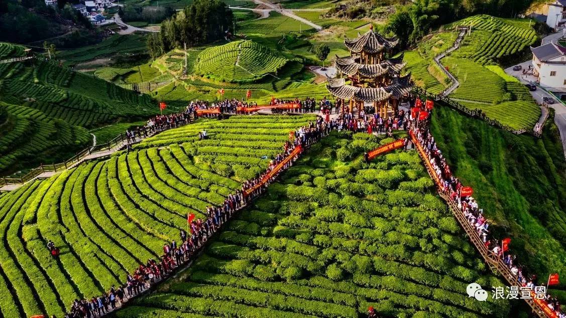 贡乡贡品展览会,工博会