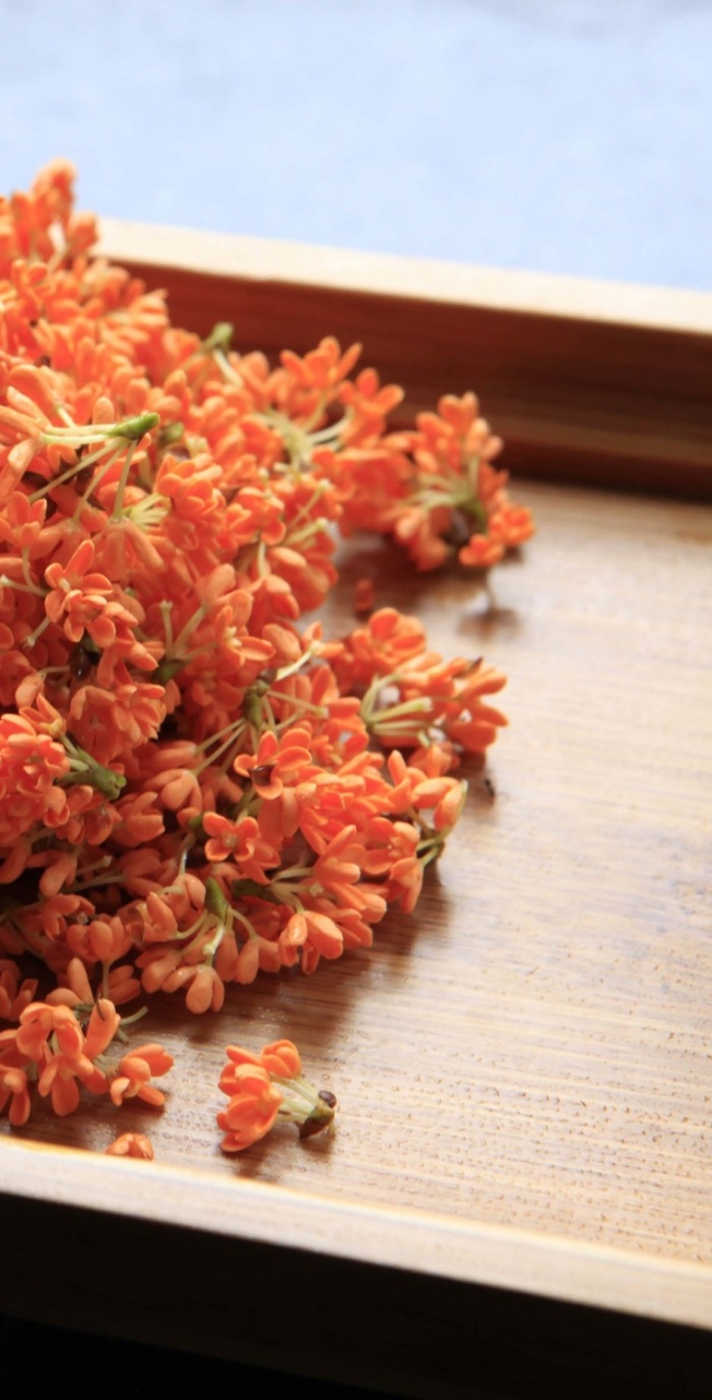 看看有关秋分的诗词,秋分的好文好诗