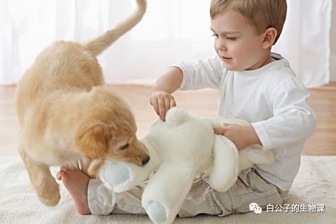 狗狗养护知识如何防止对狗狗过敏,对狗狗过敏的症状及治疗方法