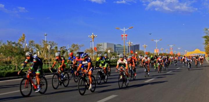 美丽的内蒙古额济纳胡杨林,恋上南山路美图