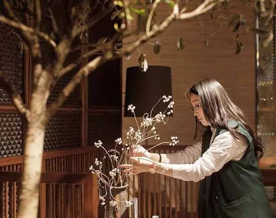 烩设计,烩设计全套视频