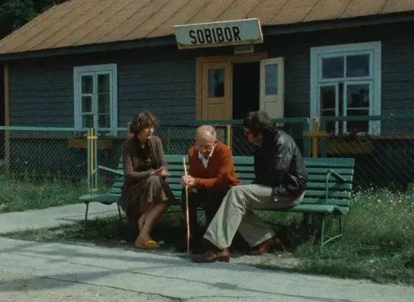 最好的纪录片都在这里了