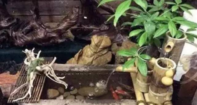 发财了！这东西以前常州家家有！扔了没人要，如今价值上万……