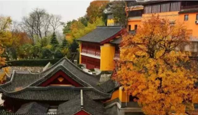 二百块钱玩南京一天,南京有哪些不要钱的游玩地方