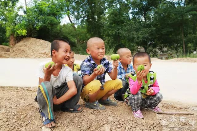 天水市委常委、副市长李晓东:我家门前清水流,漫山遍野鲜核桃!