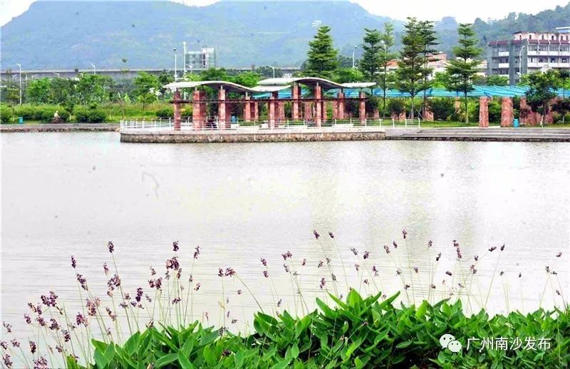 「关注」南沙举办“全球环境展望——世界环境科学家大会”招待会，还有精彩活动邀你参加！