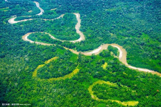 巨嘴鸟的嘴巴有什么用,巨嘴鸟为什么嘴这么大