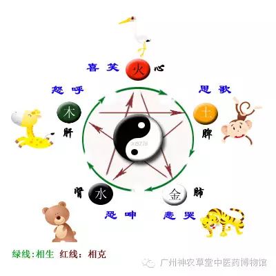 中医如何治疗抑郁症和精神分裂症,抑郁症在中医上是怎么治疗的