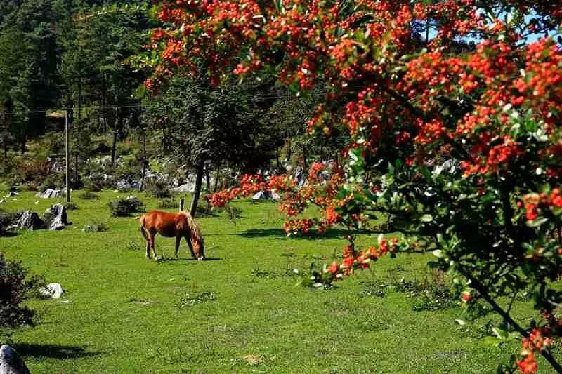秋天必打卡的地方,石柱秋天打卡