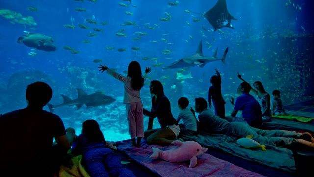 到博物馆看展览,去博物馆看一场展览