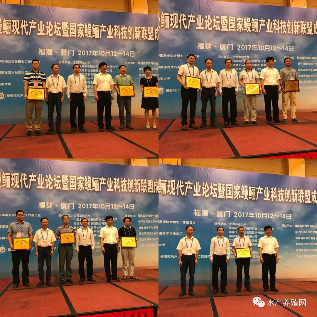 一半以上鳗鱼靠出口，被誉为“水产领域研究最后的一个大金矿”，繁华背后却有隐患