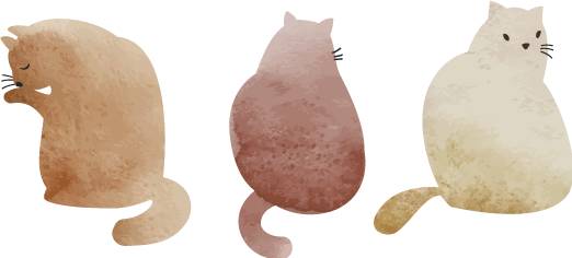 到韩国必买的10款面膜,日本购物必买清单零食