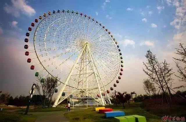天津之眼摩天轮为什么情侣不能坐,摩天轮有什么特别之处