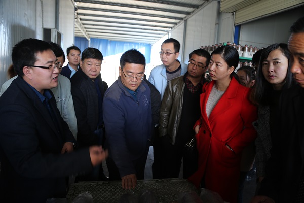 湖南食用菌栽培技术培训班,食用菌技术培训班