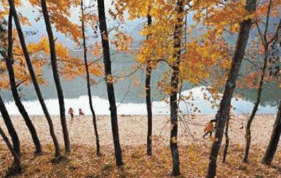 这是一份打开“楠溪江之秋”调色板的攻略！请收下！