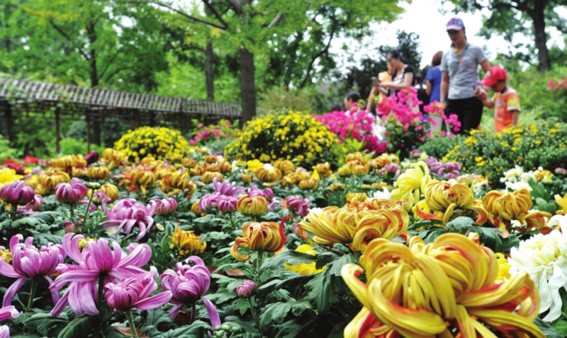 古代的重阳节是怎样过,古人过重阳节有什么习俗