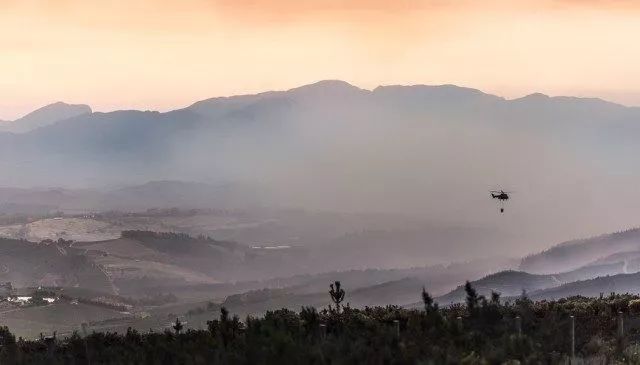 茅台葡萄酒最新资讯,葡萄酒行业最新市场动态分析