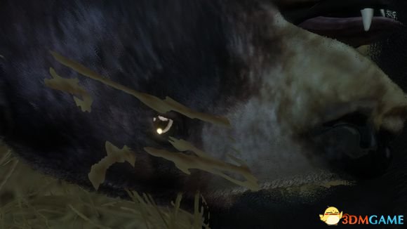 猎人野性的呼唤部分野兽打猎技巧分享