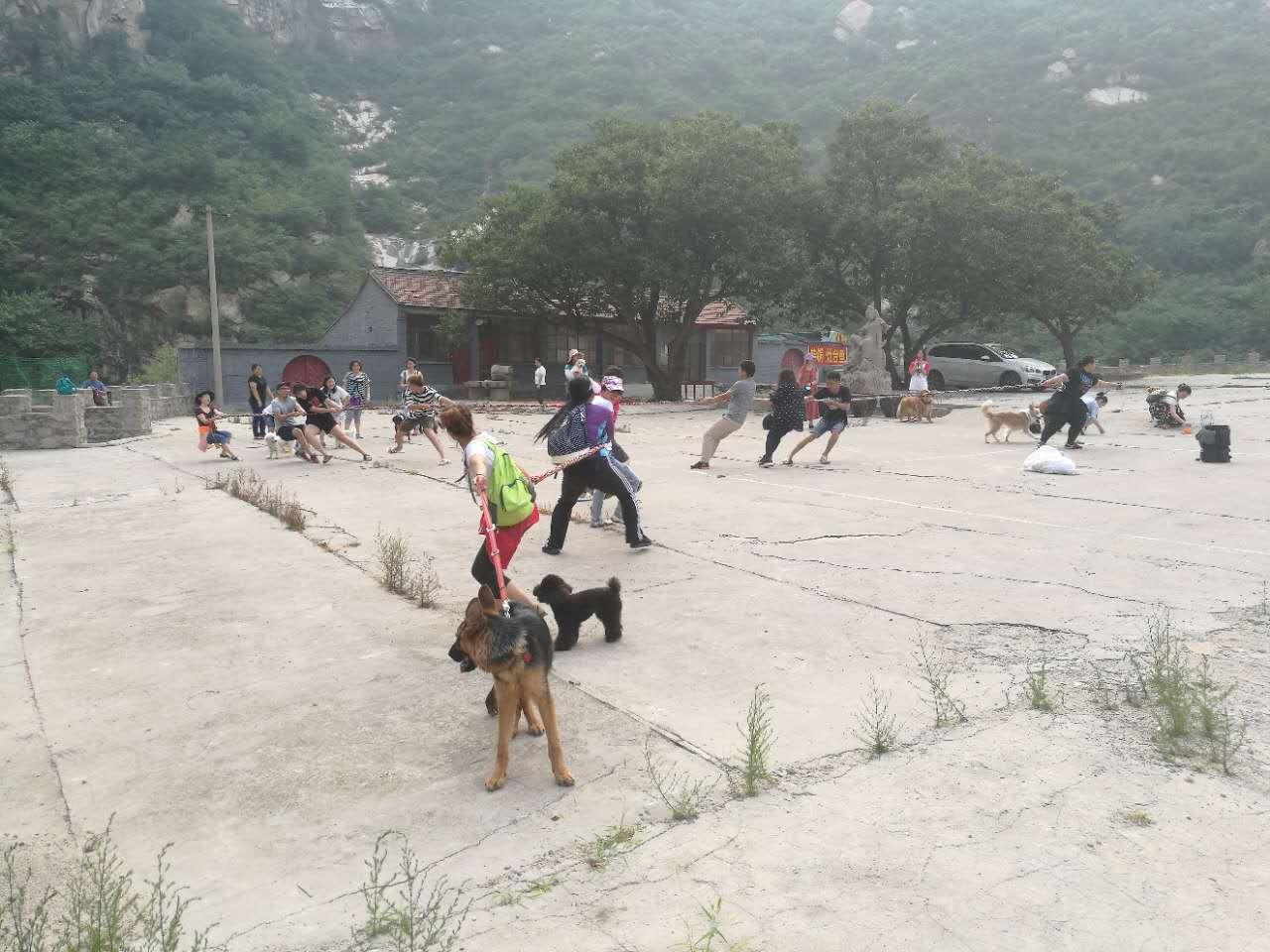 活动回顾｜随欧帝亿遛狗圣地撒花跑，铁锅灶台鱼可劲儿造回顾