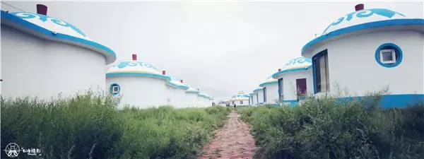 活动回顾｜欧帝亿主题狗狗巴士察哈尔草原深处探秘万年火山