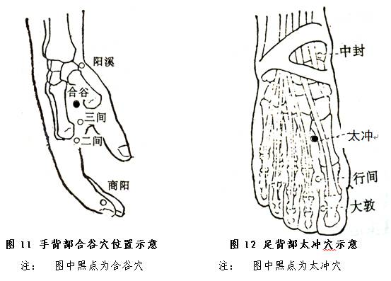 中医养生气郁,中医体质养生10大秘诀