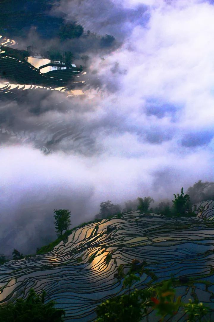 一封云南的特殊来信,一封来自云南的感谢信