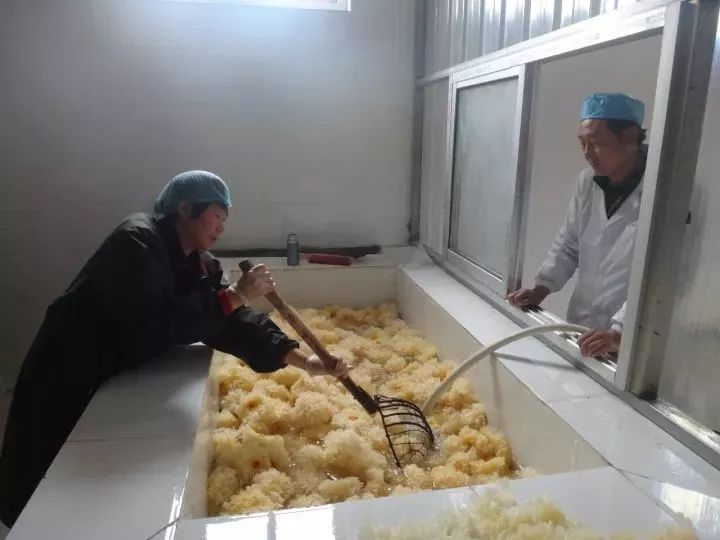 秦皇岛老年人创业项目,秦皇岛花甲老人