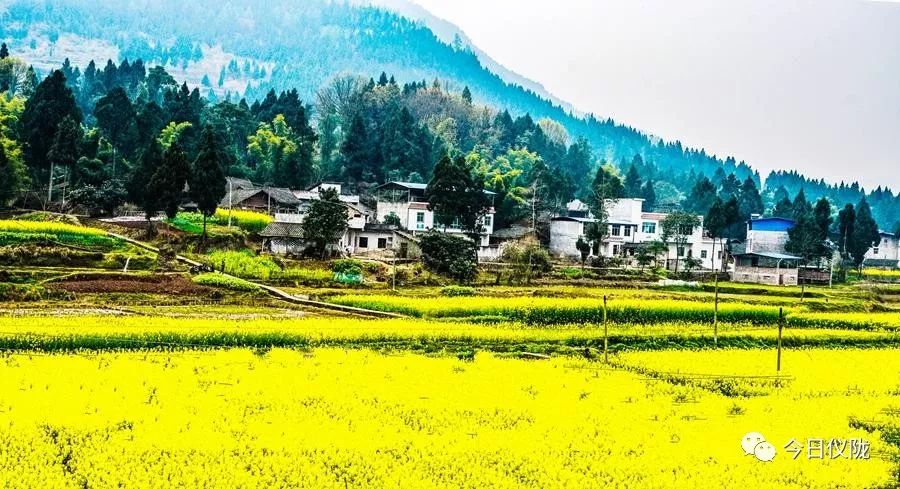 一座幸福感爆棚的滨江小城,一座山清水秀的幸福小城